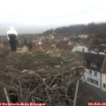 13_00-nest.jpg