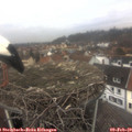 13_15-nest.jpg