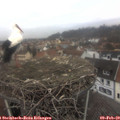 13_25-nest.jpg