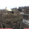 13_35-nest.jpg