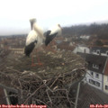 13_40-nest.jpg