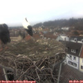 14_30-nest.jpg