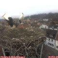 14_40-nest.jpg
