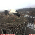 15_10-nest.jpg