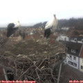 15_30-nest.jpg