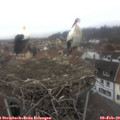 15_40-nest.jpg