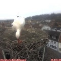 15_55-nest.jpg