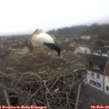 16_10-nest.jpg