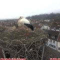 16_15-nest.jpg