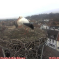 16_20-nest.jpg