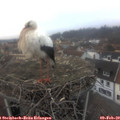 16_45-nest.jpg