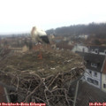 07_45-nest.jpg