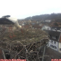 08_15-nest.jpg