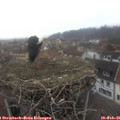 08_20-nest.jpg