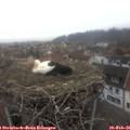 08_25-nest.jpg