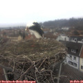 08_40-nest.jpg