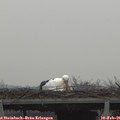 08_55-mast.jpg