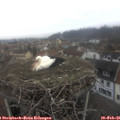 09_05-nest.jpg