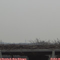 09_15-mast.jpg
