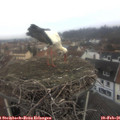 09_15-nest.jpg