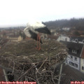 09_25-nest.jpg