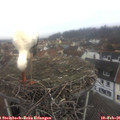 09_35-nest.jpg