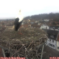 09_40-nest.jpg