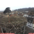09_55-nest.jpg
