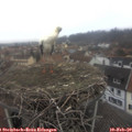 10_05-nest.jpg