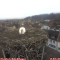 10_10-nest.jpg