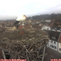 10_25-nest.jpg