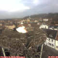 11_00-nest.jpg