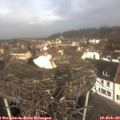 11_05-nest.jpg
