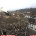 11_15-nest.jpg