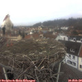 11_20-nest.jpg