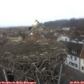 11_30-nest.jpg
