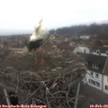 11_35-nest.jpg