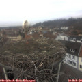 11_40-nest.jpg