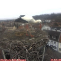 12_05-nest.jpg