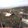 12_20-nest.jpg