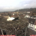 12_25-nest.jpg