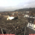12_30-nest.jpg