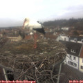 12_35-nest.jpg