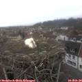 13_05-nest.jpg