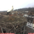 13_35-nest.jpg