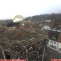 13_40-nest.jpg