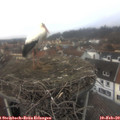 13_45-nest.jpg