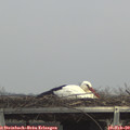 14_00-mast.jpg