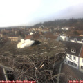 14_05-nest.jpg