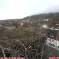 14_15-nest.jpg